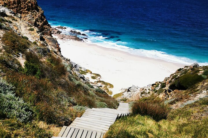 Cape Point Xplorer - Image 1