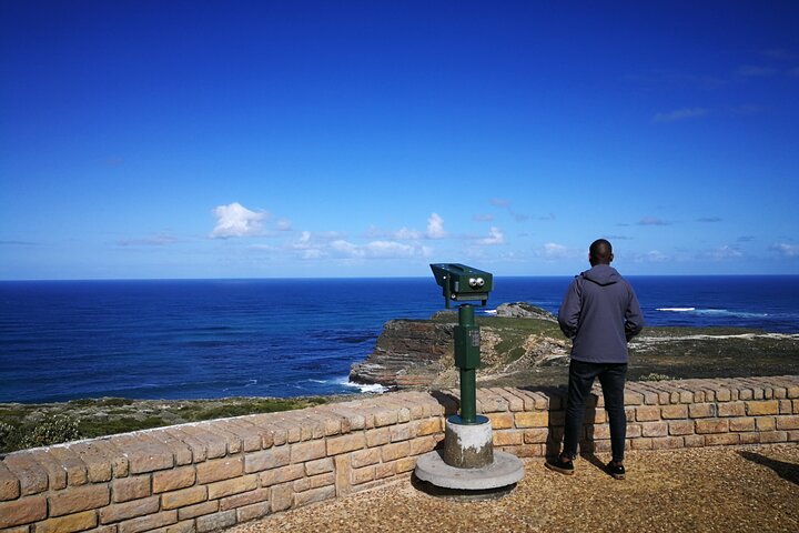 Cape Point Xplorer - Image 5