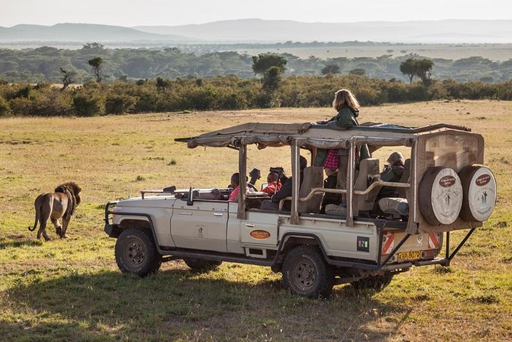 Cape Town 2-Days Overnight Aquilla Safari game Reserve - Image 1