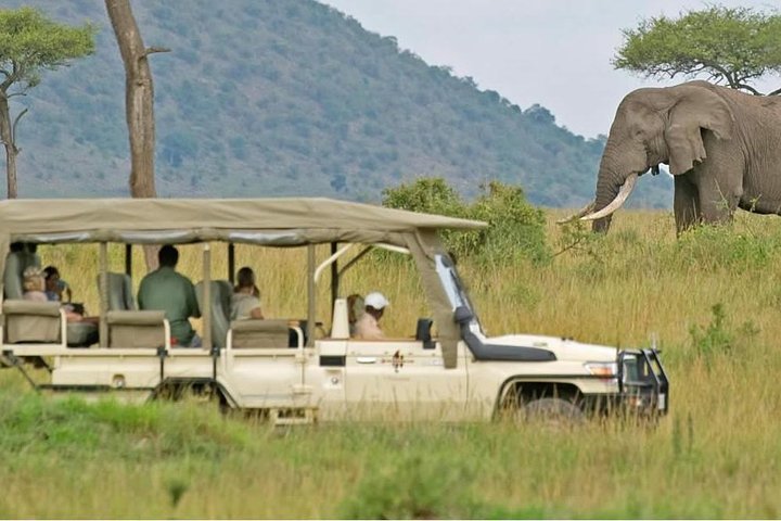 Cape Town 2Days Tour, Aquila Safari Game Overnight & Robben Island Getaway - Image 1