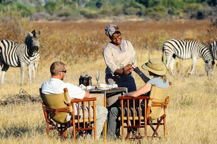 Cape Town 2Days Tour, Aquila Safari Game Overnight & Robben Island Getaway - Image 4