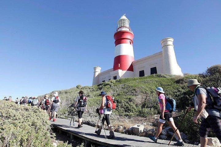 ( Cape Town 3-Days Attraction ) Cobra Car Ride & Cape Point & Wine Tasting - Image 4