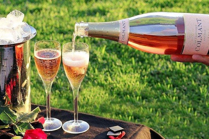 Cape Town ,3-Days Attraction Tour. Helicopter &Cape Peninsula&Wine Tasting - Image 3