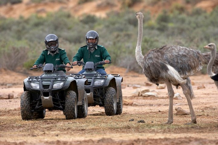 Cape Town Adventure Tours - Image 1
