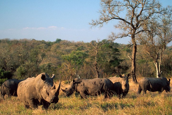 Cape Town , Aquila Safari Game Reserve Overnight Tour - Image 3