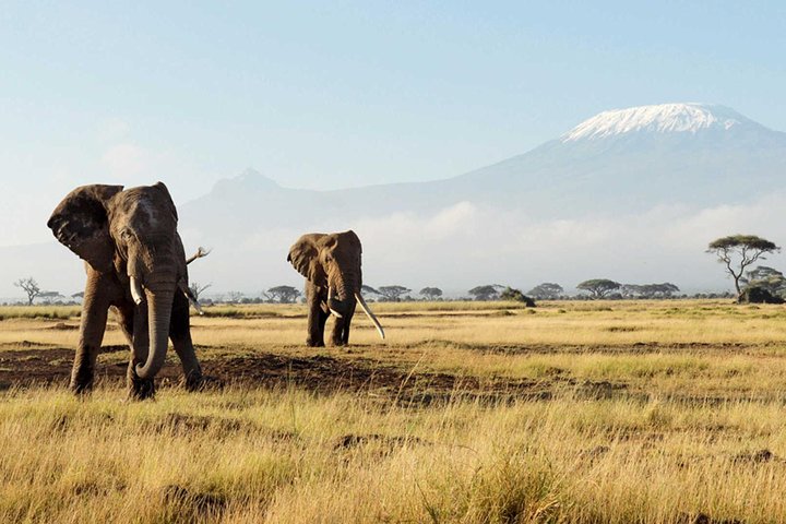 Cape Town , Aquila Safari Game Reserve Overnight Tour - Image 5