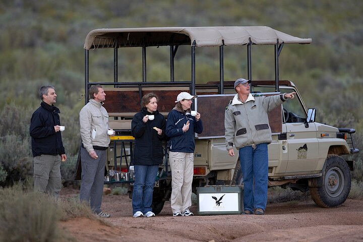 Cape Town Big 5 Animals Guided Safari Private Tour to Aquila - Image 5