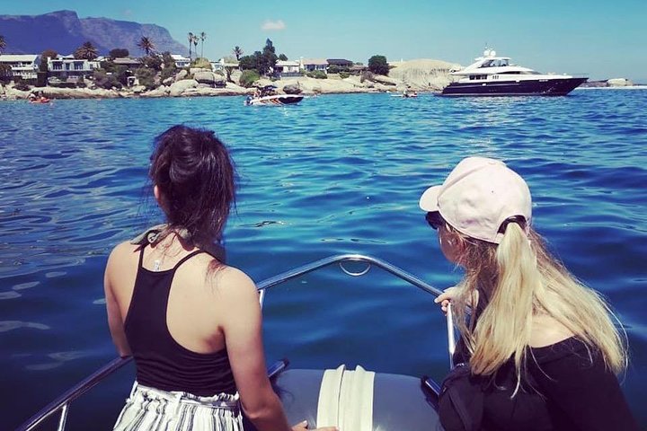 Cape Town Boat Trip - Image 4