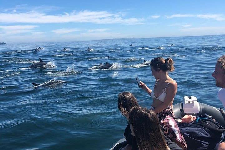 Cape Town Boat Trip - Image 2