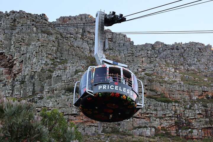 Cape Town: Cape of Good Hope, Table Mountain & Wine Tasting Tour  - Image 1