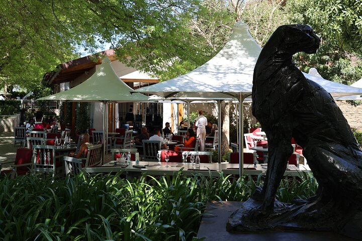 Cape Town: Cape of Good Hope, Table Mountain & Wine Tasting Tour  - Image 3