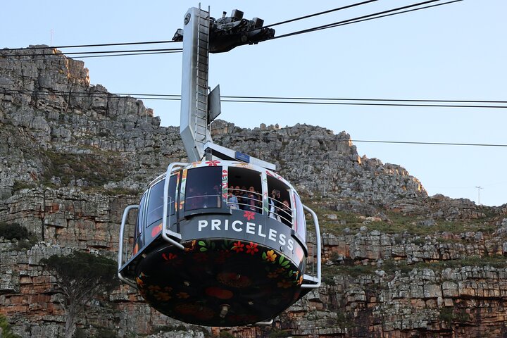 Cape Town: Cape of Good Hope Tour, Penguin Beach & Table Mountain - Image 1