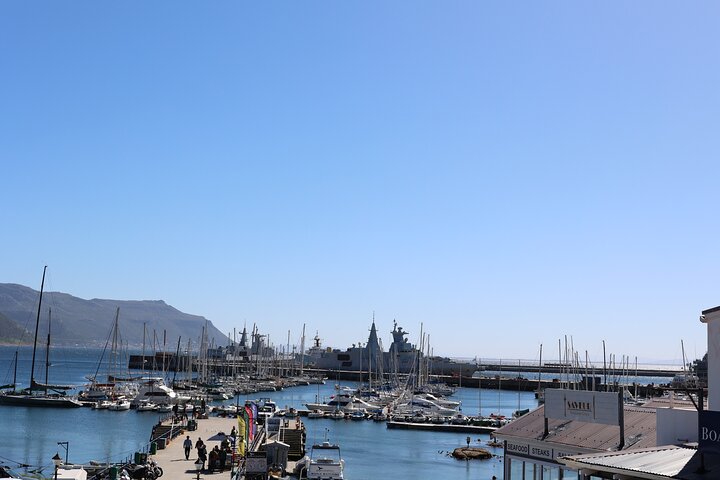 Cape Town: Cape of Good Hope Tour, Penguin Beach & Table Mountain - Image 5