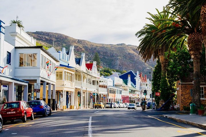 Cape Town: Cape Peninsula Half Day Private Tour - Image 5