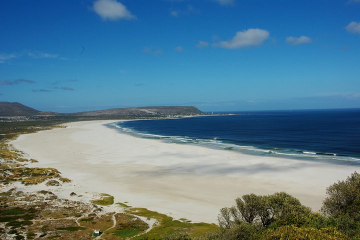 Cape Town: Cape Peninsula Half Day Private Tour - Image 4