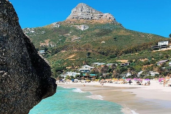 Cape Town: Cape Peninsula Private Tour Full Day - Image 4