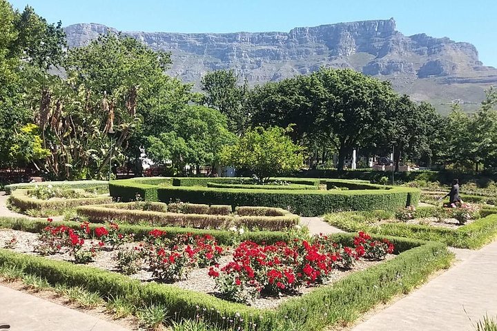 Cape Town City Tour Camps Bay Beach Plus Table Mountain Ticket - Image 4
