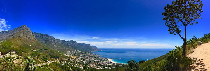 Cape Town City Tour | Private Tour - Image 3
