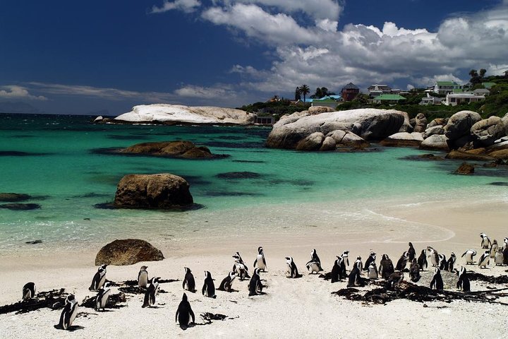 Cape Town Day Tours - Image 1