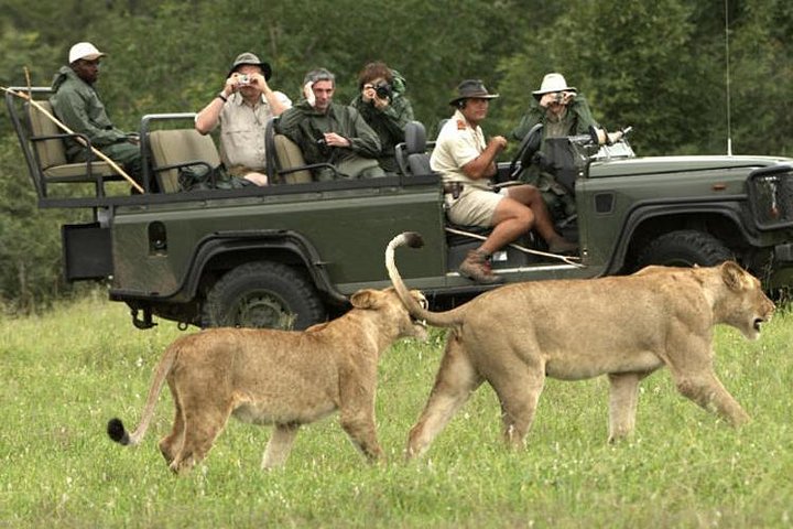 Cape Town Full Day Tour - Big Five Safari Gateway - Image 3