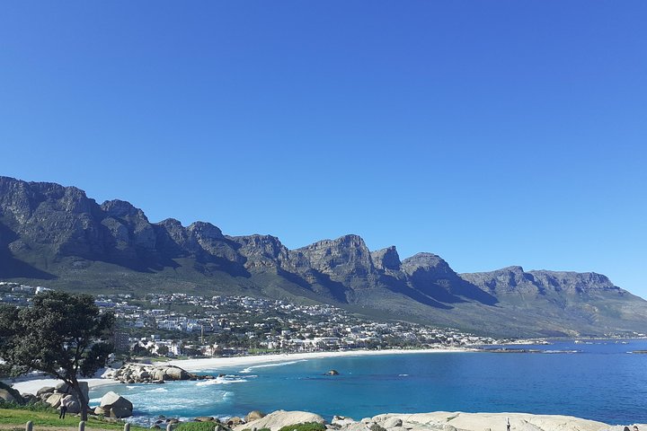 Cape Town Halfday City and Table Mountain Tour - Image 3