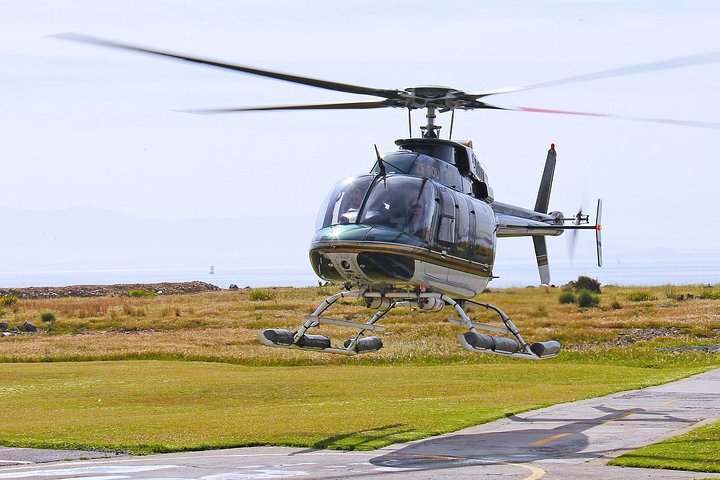 Cape Town Helicopter flight, Wine Tasting & Picnic Lunch Private Tour - Image 5