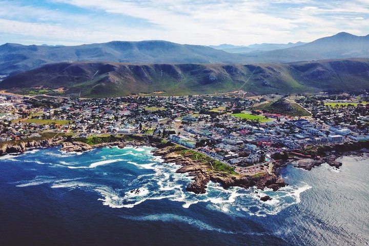 Cape Town: HERMANUS WHALES & WINE Private Full Day Tour - Image 3