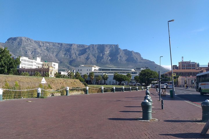 Cape town Highlights Full Day Tour - Image 3