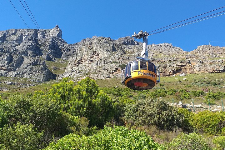 Cape town Highlights Full Day Tour - Image 4