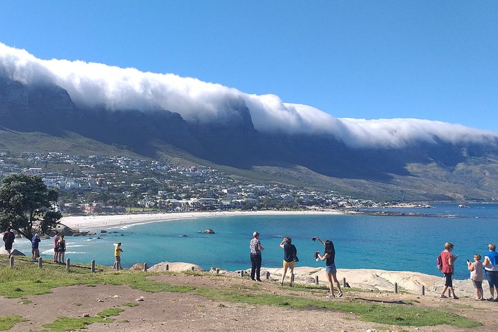 Cape town Highlights Full Day Tour - Image 5