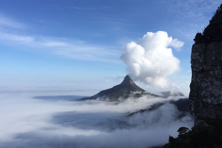 Cape Town: Kasteelspoort Hike on Table Mountain - Image 5