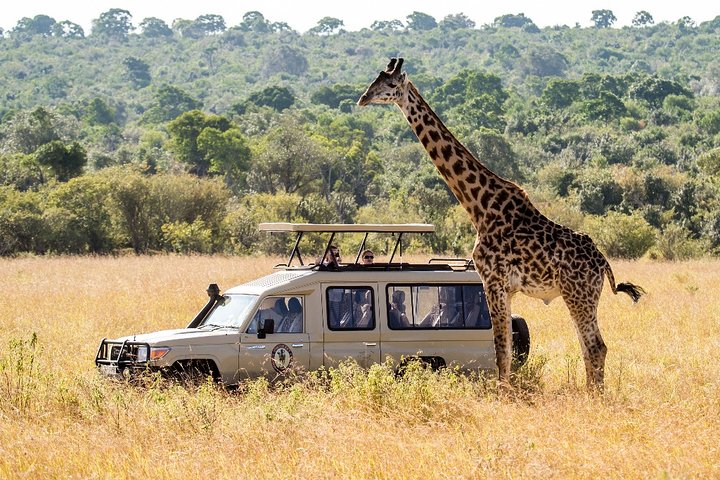 Cape Town - Overnight Best of Inverdoorn Safari Game Reserve  - Image 3