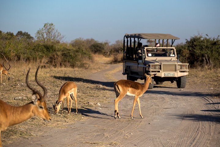 Cape Town - Overnight Best of Inverdoorn Safari Game Reserve  - Image 2