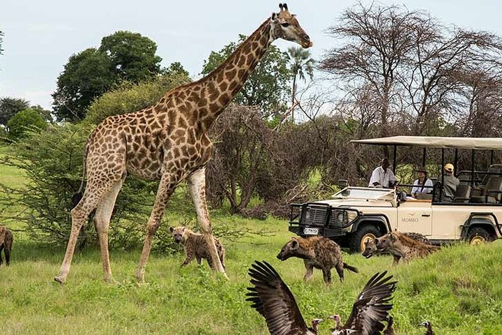 Cape Town - Overnight Best of Inverdoorn Safari Game Reserve  - Image 1