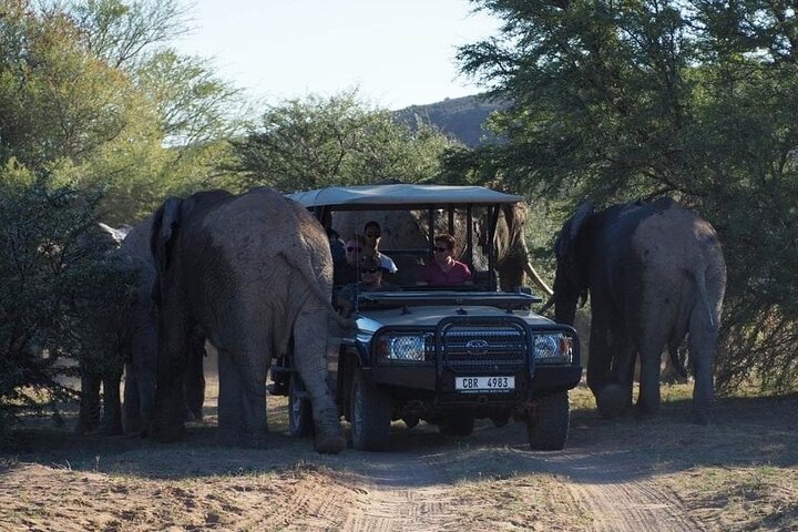 Cape Town - Overnight Sanbona Safaris Game Reserve Tour  - Image 2