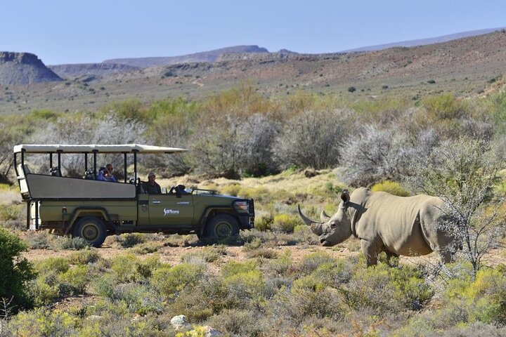 Cape Town - Overnight Sanbona Safaris Game Reserve Tour  - Image 1