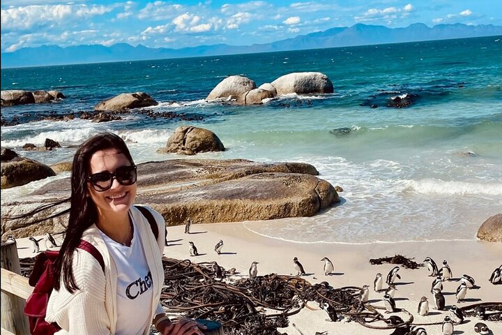 Cape Town Peninsula and Penguins Private Sightseeing Tour - Image 3