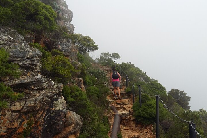 Cape Town: Pipetrack Hike for the whole family on Table Mountain - Image 3