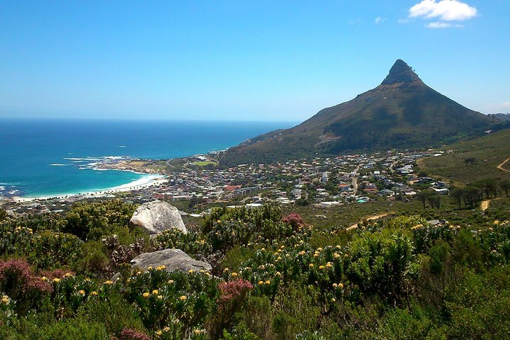 Cape Town: Pipetrack Hike for the whole family on Table Mountain - Image 2