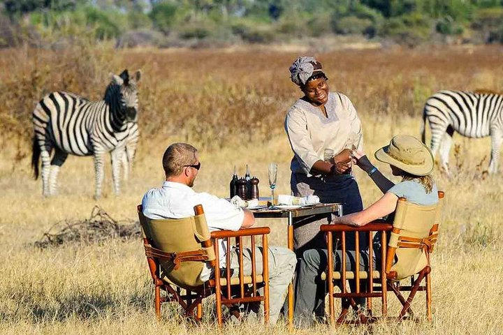 Cape Town Private - Best of Aquila Safari Tour  - Image 5