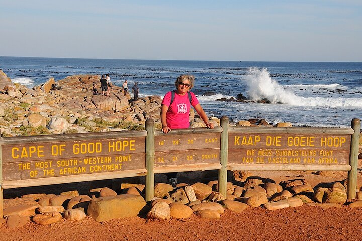 Cape Town Private Group Tour to Cape of Good Hope and Boulders Penguins Colony - Image 5