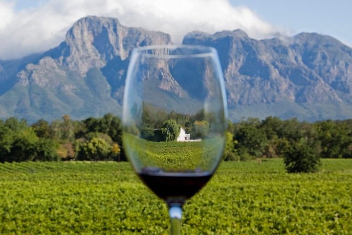 Cape town private, Robben Island and Wine Tasting Tour  - Image 4
