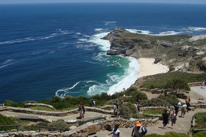 Cape Town Private Tour , Cape Peninsula Penguin  - Image 5