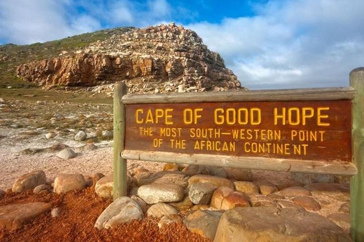 (Cape Town )Private Tour - Cape Peninsula Penguin Full Day - Image 3