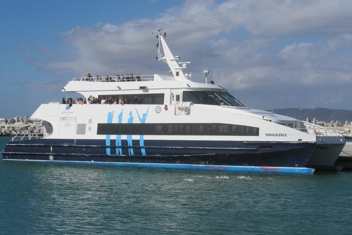 ( Cape Town Private Tour Full-Day ) Robben Island and Cape Peninsula Penguins  - Image 1