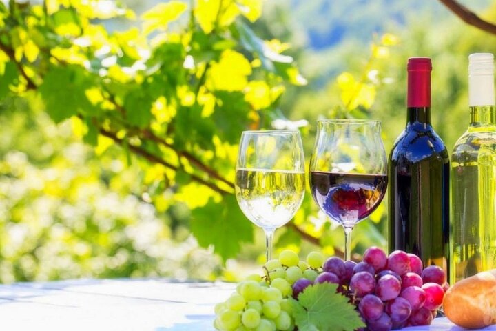 Cape Town Private Tour- Stellenbosch Winelands Full Day  - Image 2