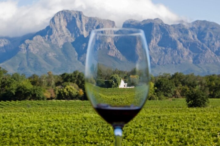 Cape Town Private Tour- Stellenbosch Winelands Full Day  - Image 4