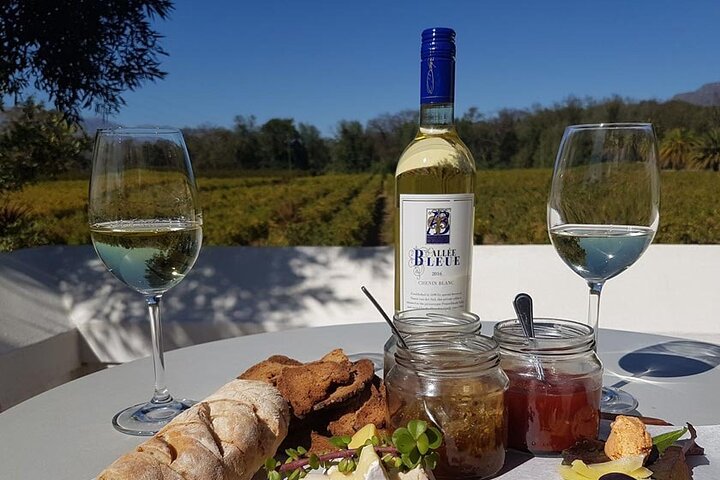 Cape Town Private Tour- Stellenbosch Winelands Full Day  - Image 1