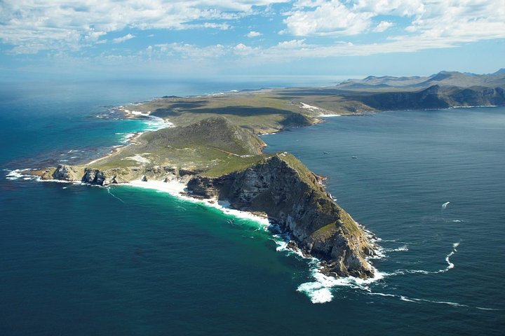 Cape Town , Private Tour: Table Mountain Cable Car & Cape Peninsula Penguins - Image 5
