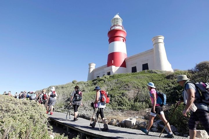 (Cape Town Private Tour )Table Mountain Cable Car & Cape Point Penguins - Image 5